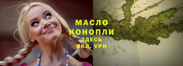 индика Бугульма