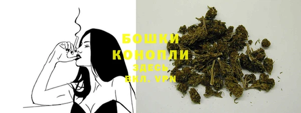 индика Бугульма