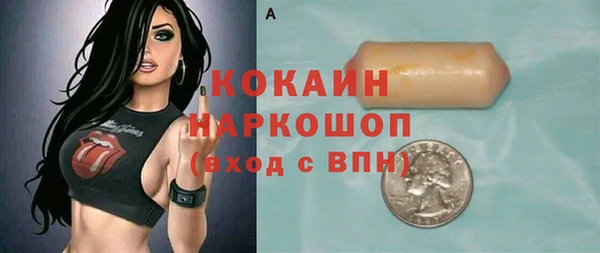 индика Бугульма