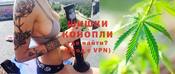 индика Бугульма