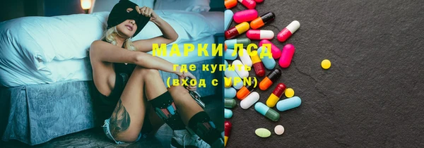 индика Бугульма
